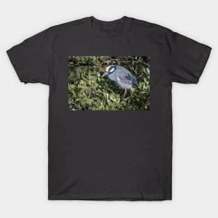 Yellow Crowned Night Heron Perched T-Shirt